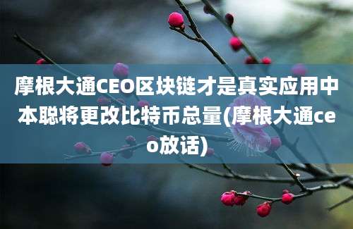 摩根大通CEO区块链才是真实应用中本聪将更改比特币总量(摩根大通ceo放话)