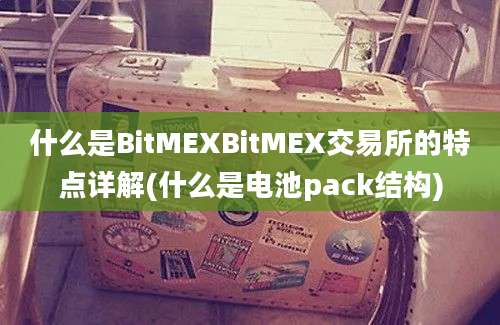 什么是BitMEXBitMEX交易所的特点详解(什么是电池pack结构)