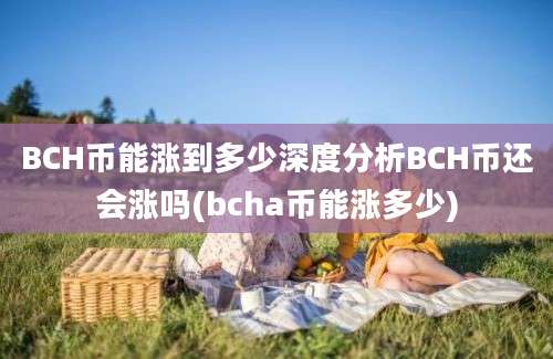 BCH币能涨到多少深度分析BCH币还会涨吗(bcha币能涨多少)