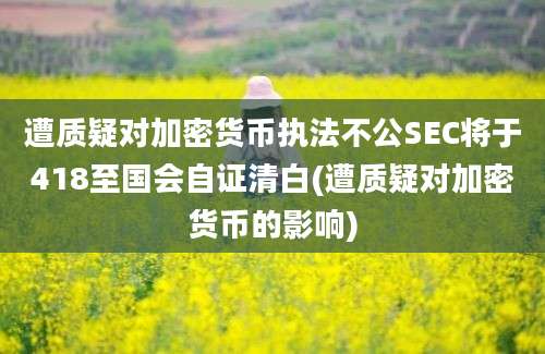 遭质疑对加密货币执法不公SEC将于418至国会自证清白(遭质疑对加密货币的影响)