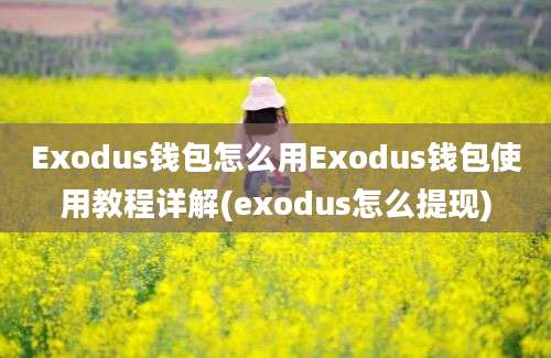 Exodus钱包怎么用Exodus钱包使用教程详解(exodus怎么提现)