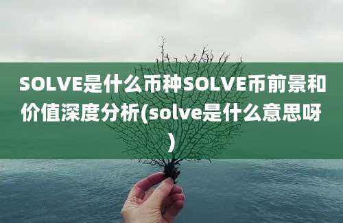 SOLVE是什么币种SOLVE币前景和价值深度分析(solve是什么意思呀)