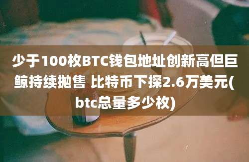 少于100枚BTC钱包地址创新高但巨鲸持续抛售 比特币下探2.6万美元(btc总量多少枚)