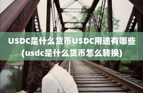 USDC是什么货币USDC用途有哪些(usdc是什么货币怎么转换)