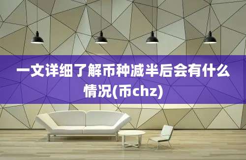 一文详细了解币种减半后会有什么情况(币chz)