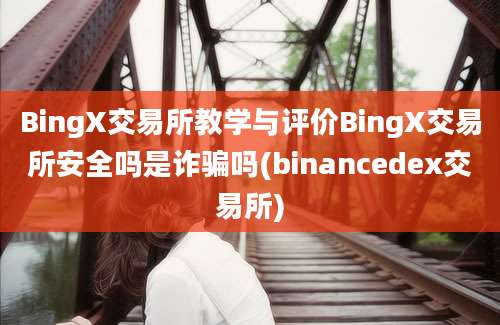 BingX交易所教学与评价BingX交易所安全吗是诈骗吗(binancedex交易所)