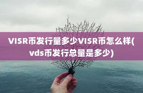 VISR币发行量多少VISR币怎么样(vds币发行总量是多少)