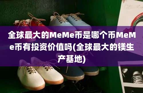 全球最大的MeMe币是哪个币MeMe币有投资价值吗(全球最大的镁生产基地)