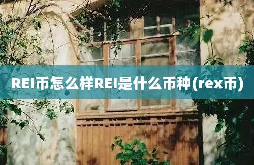 REI币怎么样REI是什么币种(rex币)