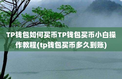 TP钱包如何买币TP钱包买币小白操作教程(tp钱包买币多久到账)