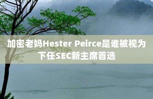 加密老妈Hester Peirce是谁被视为下任SEC新主席首选