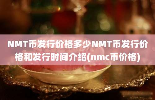 NMT币发行价格多少NMT币发行价格和发行时间介绍(nmc币价格)