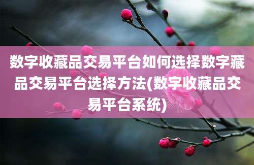 数字收藏品交易平台如何选择数字藏品交易平台选择方法(数字收藏品交易平台系统)