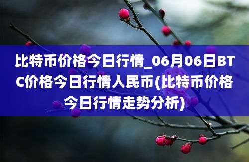 比特币价格今日行情_06月06日BTC价格今日行情人民币(比特币价格今日行情走势分析)