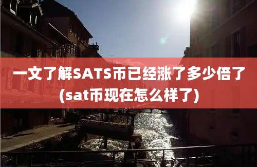 一文了解SATS币已经涨了多少倍了(sat币现在怎么样了)