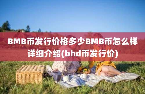 BMB币发行价格多少BMB币怎么样详细介绍(bhd币发行价)