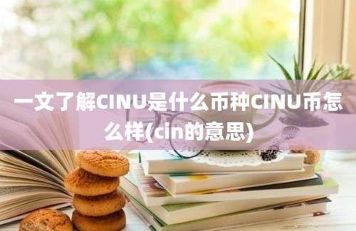 一文了解CINU是什么币种CINU币怎么样(cin的意思)