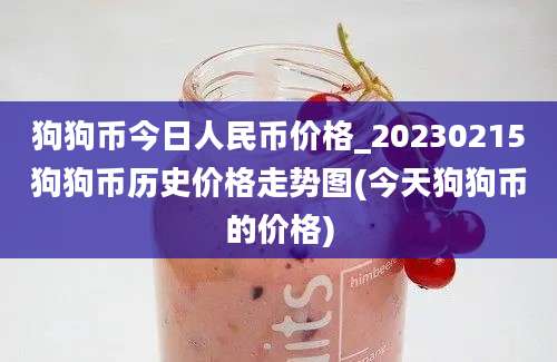 狗狗币今日人民币价格_20230215狗狗币历史价格走势图(今天狗狗币的价格)