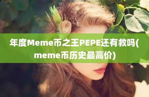 年度Meme币之王PEPE还有救吗(meme币历史最高价)