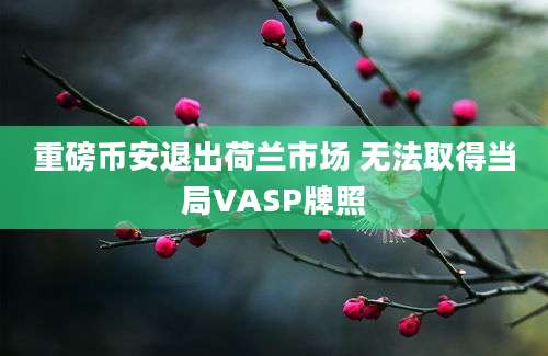 重磅币安退出荷兰市场 无法取得当局VASP牌照