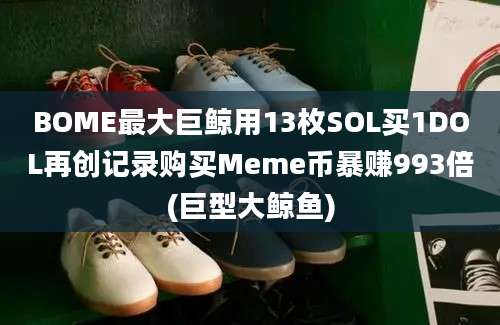 BOME最大巨鲸用13枚SOL买1DOL再创记录购买Meme币暴赚993倍(巨型大鲸鱼)