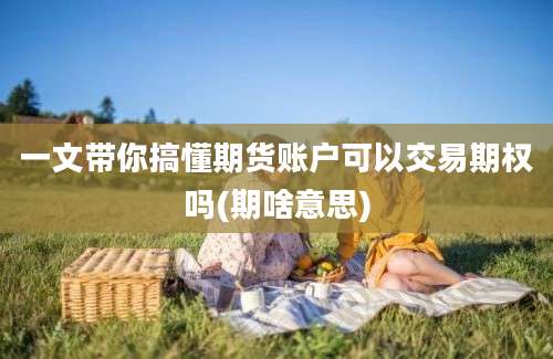 一文带你搞懂期货账户可以交易期权吗(期啥意思)