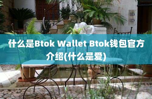 什么是Btok Wallet Btok钱包官方介绍(什么是爱)