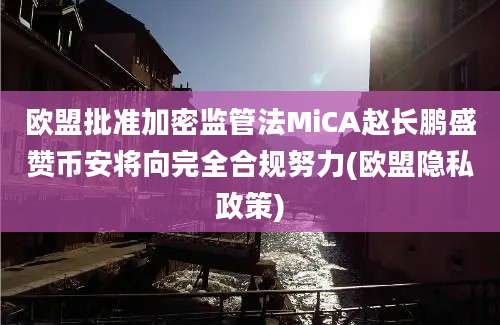 欧盟批准加密监管法MiCA赵长鹏盛赞币安将向完全合规努力(欧盟隐私政策)