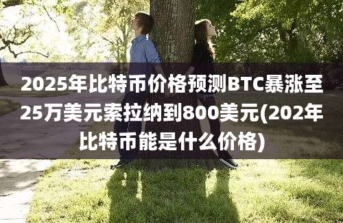 2025年比特币价格预测BTC暴涨至25万美元索拉纳到800美元(202年比特币能是什么价格)