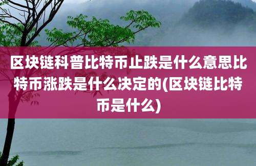 区块链科普比特币止跌是什么意思比特币涨跌是什么决定的(区块链比特币是什么)