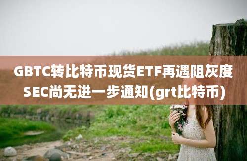 GBTC转比特币现货ETF再遇阻灰度SEC尚无进一步通知(grt比特币)