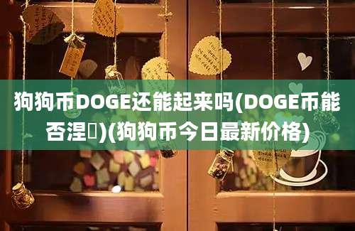 狗狗币DOGE还能起来吗(DOGE币能否涅槃)(狗狗币今日最新价格)