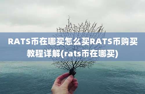 RATS币在哪买怎么买RATS币购买教程详解(rats币在哪买)