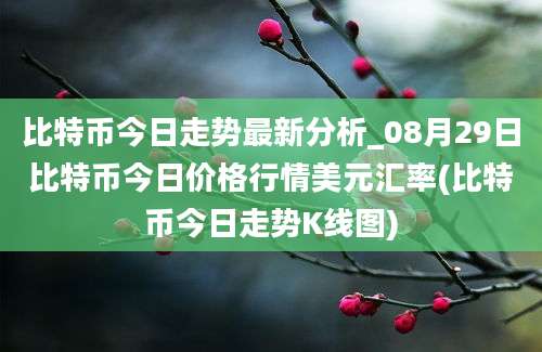 比特币今日走势最新分析_08月29日比特币今日价格行情美元汇率(比特币今日走势K线图)