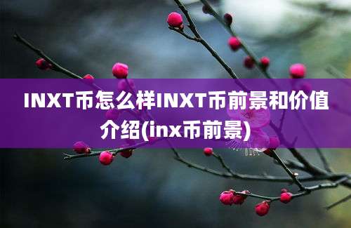 INXT币怎么样INXT币前景和价值介绍(inx币前景)