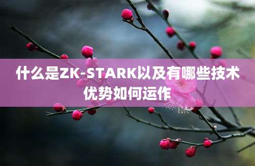 什么是ZK-STARK以及有哪些技术优势如何运作