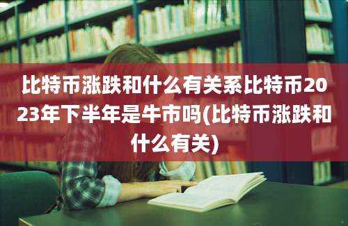 比特币涨跌和什么有关系比特币2023年下半年是牛市吗(比特币涨跌和什么有关)