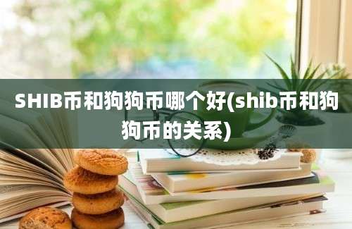 SHIB币和狗狗币哪个好(shib币和狗狗币的关系)