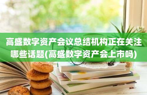 高盛数字资产会议总结机构正在关注哪些话题(高盛数字资产会上市吗)