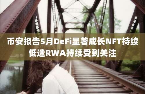 币安报告5月DeFi显著成长NFT持续低迷RWA持续受到关注