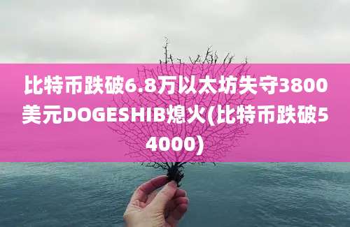 比特币跌破6.8万以太坊失守3800美元DOGESHIB熄火(比特币跌破54000)