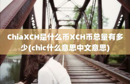 ChiaXCH是什么币XCH币总量有多少(chic什么意思中文意思)