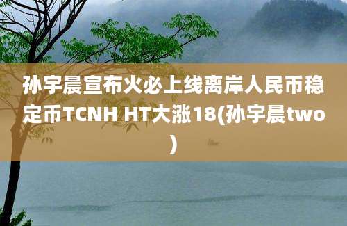 孙宇晨宣布火必上线离岸人民币稳定币TCNH HT大涨18(孙宇晨two)