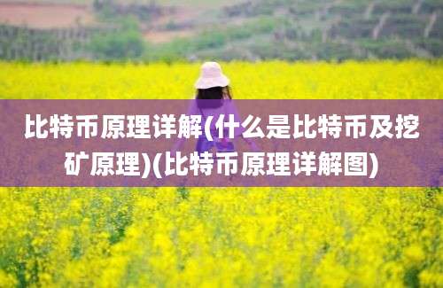 比特币原理详解(什么是比特币及挖矿原理)(比特币原理详解图)