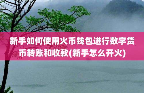 新手如何使用火币钱包进行数字货币转账和收款(新手怎么开火)