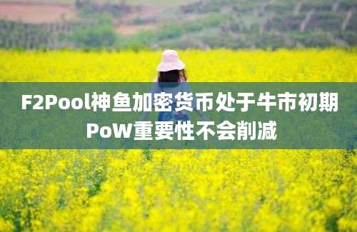 F2Pool神鱼加密货币处于牛市初期 PoW重要性不会削减