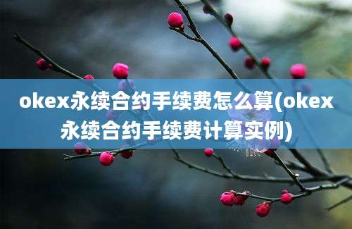 okex永续合约手续费怎么算(okex永续合约手续费计算实例)