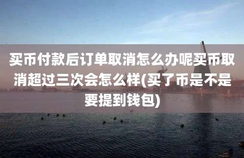 买币付款后订单取消怎么办呢买币取消超过三次会怎么样(买了币是不是要提到钱包)