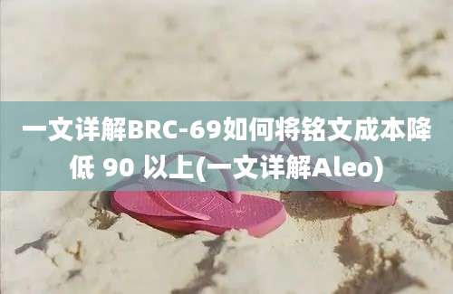 一文详解BRC-69如何将铭文成本降低 90 以上(一文详解Aleo)