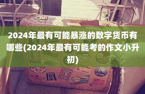 2024年最有可能暴涨的数字货币有哪些(2024年最有可能考的作文小升初)